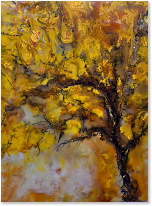 Abstract artwork with a tree and warm colors