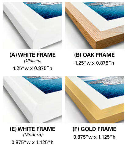 Comparison of different picture frames including white, oak, and gold frames with dimensions.