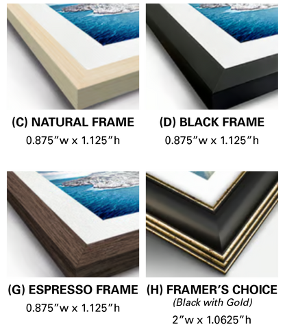 Four different frame options with dimensions displayed.